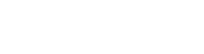 Logo Fissurex white